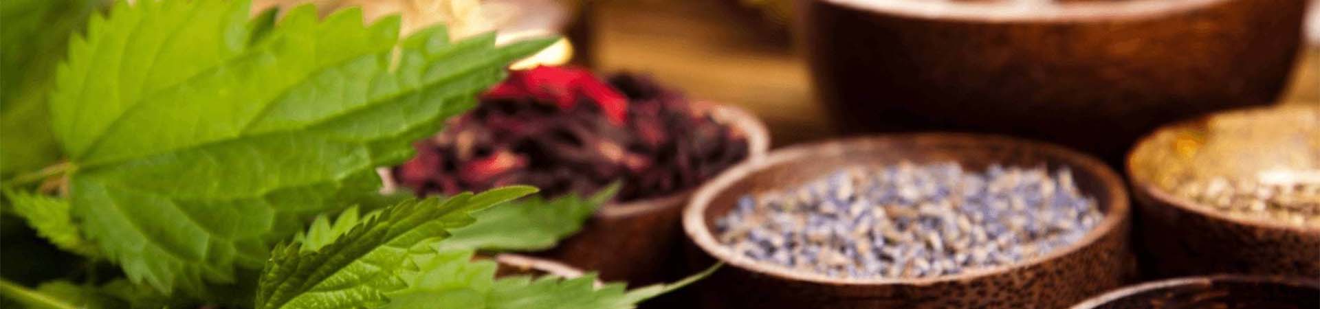 Ayushbuy Ayurveda Banner